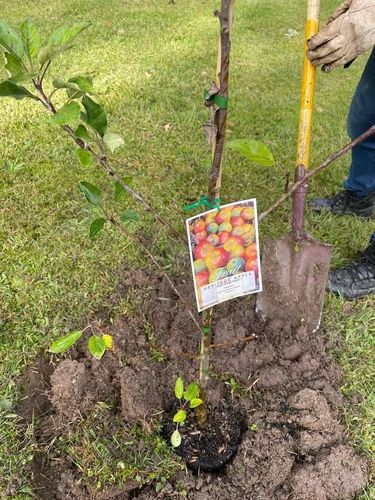 EFBB8598-ECF3-40CE-BBA9-7E807CCC6DB4.jpeg EFBB8598-ECF3-40CE-BBA9-7E807CCC6DB4.jpeg