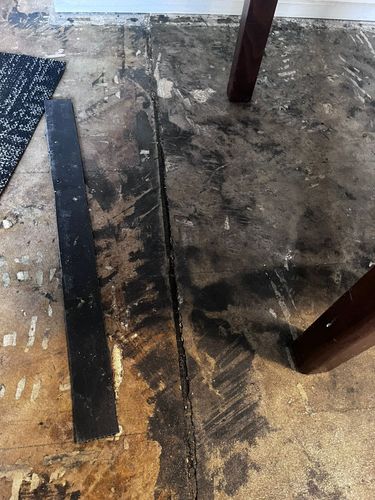 WhatsApp Image 2025-01-08 at 14.15.08_35aa40fe.jpg WhatsApp Image 2025-01-08 at 14.15.08_35aa40fe.jpg