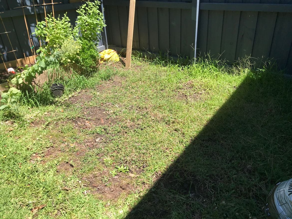 IMG_4404.jpg IMG_4404.jpg