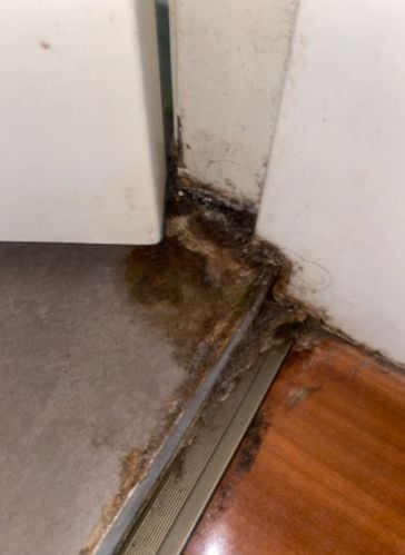 IMG_9718.jpeg IMG_9718.jpeg