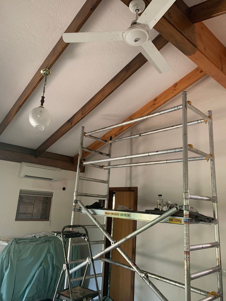 IMG_2650.JPEG IMG_2650.JPEG