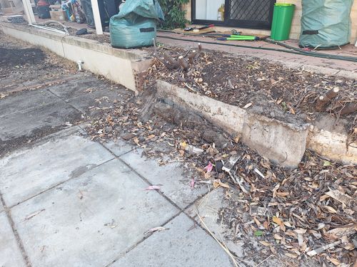 1000094520.jpg 1000094520.jpg