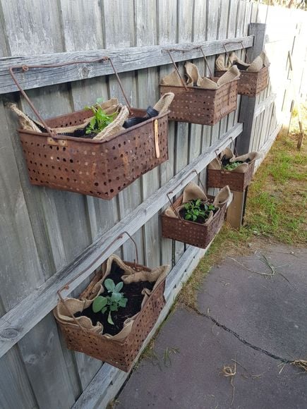 20180428_161015_001_resized.jpg 20180428_161015_001_resized.jpg