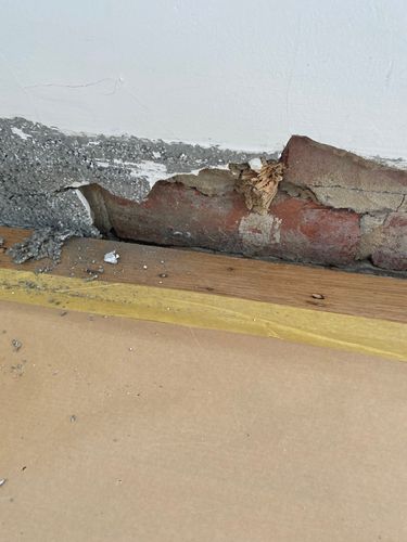 IMG_6348.jpeg IMG_6348.jpeg