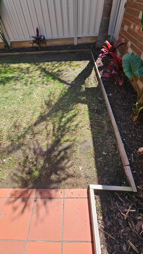 462536947_1094586652279924_8003758027098319125_n.jpg 462536947_1094586652279924_8003758027098319125_n.jpg