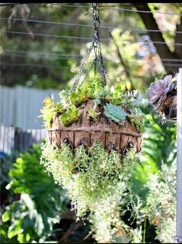 9D909AF4-2339-4BFA-B394-EC03F9DFB5A9.jpeg 9D909AF4-2339-4BFA-B394-EC03F9DFB5A9.jpeg