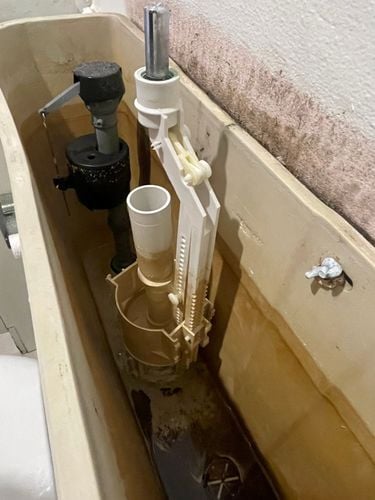 IMG_4810.jpeg IMG_4810.jpeg