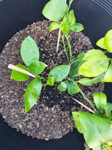 1000037128.jpg 1000037128.jpg