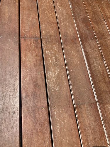 66D54A27-0FE6-40A5-82E8-45F7AC5EA857.jpeg 66D54A27-0FE6-40A5-82E8-45F7AC5EA857.jpeg