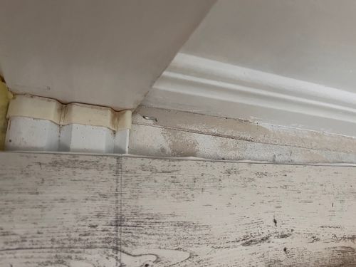 IMG_1256.jpeg IMG_1256.jpeg