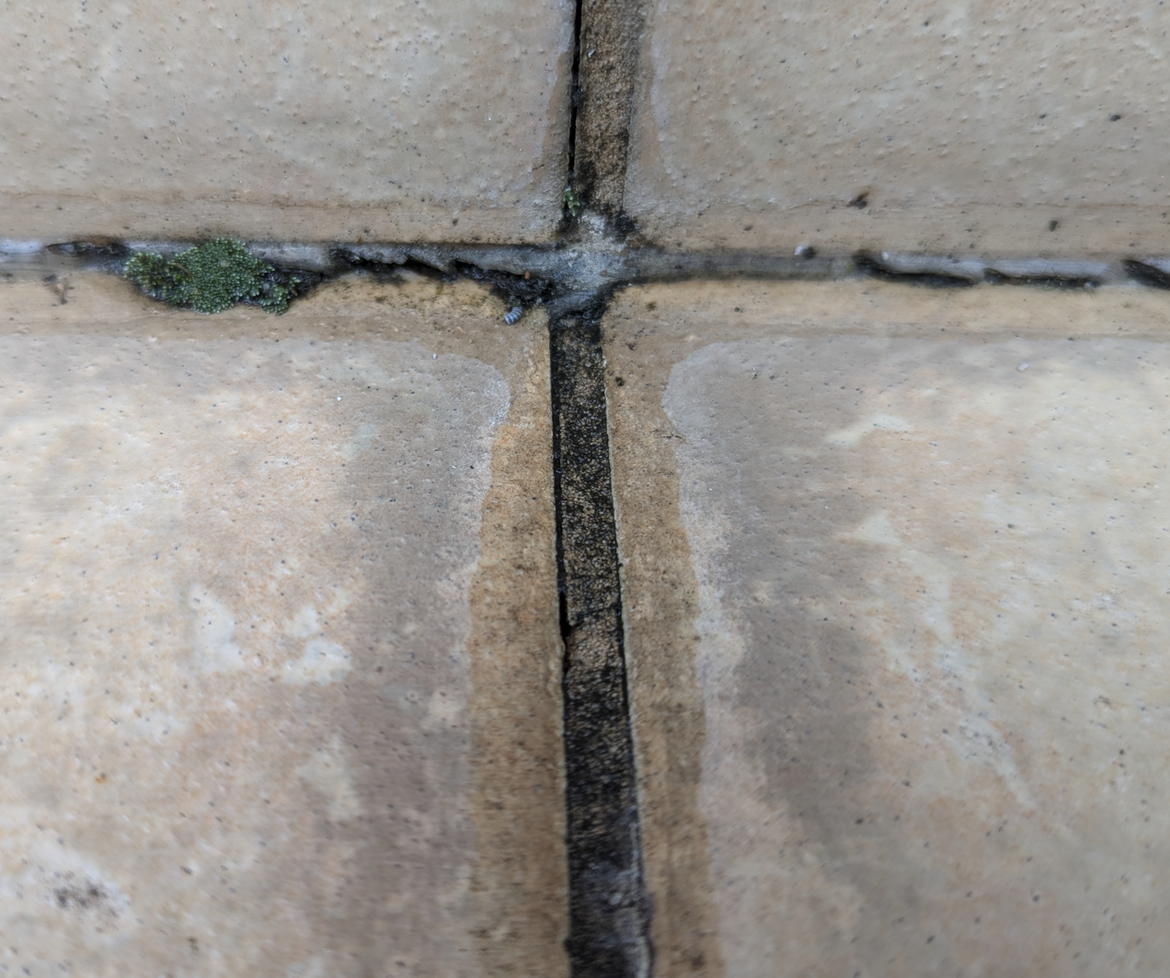 Screenshot 2024-07-12 195339.png Screenshot 2024-07-12 195339.png