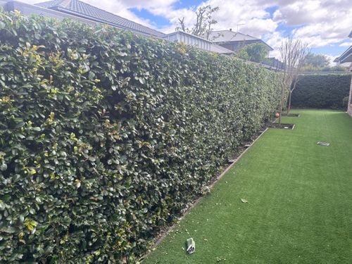 IMG_4133.jpeg IMG_4133.jpeg