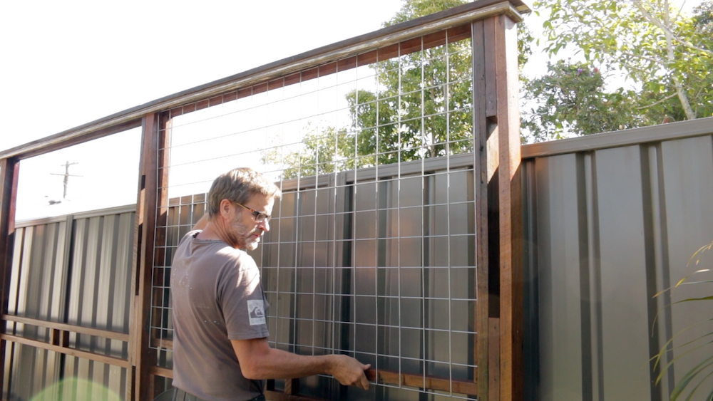 Trellis Mesh.png Trellis Mesh.png