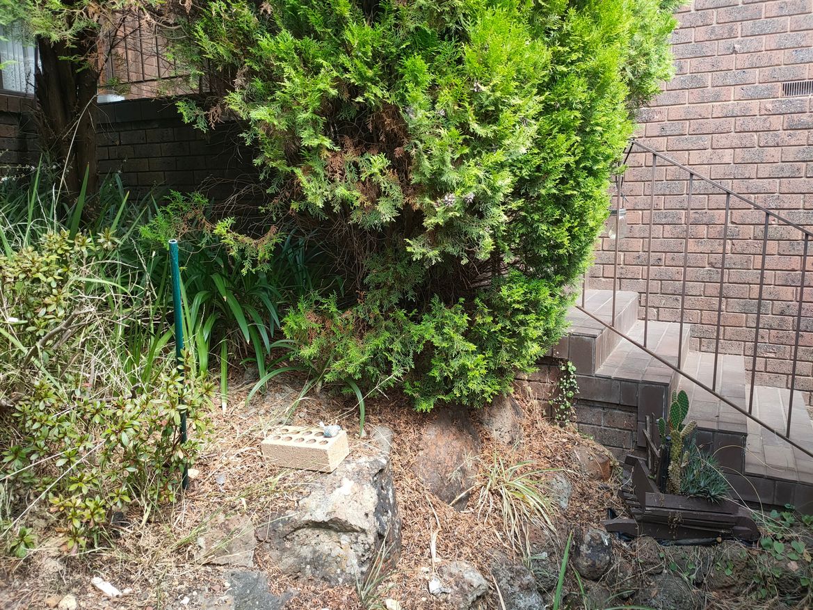 IMG20220226121337.jpg IMG20220226121337.jpg