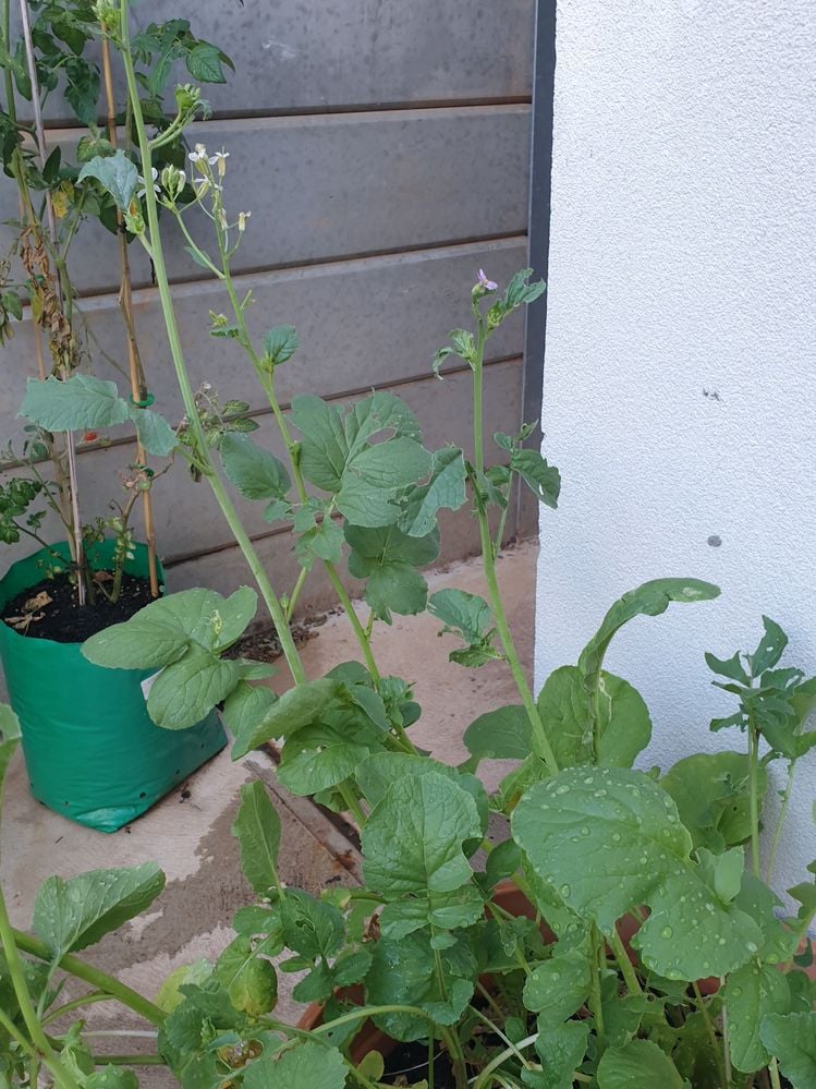 20240114_191645.jpg 20240114_191645.jpg