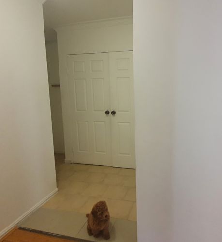 20210706_114146.jpg 20210706_114146.jpg