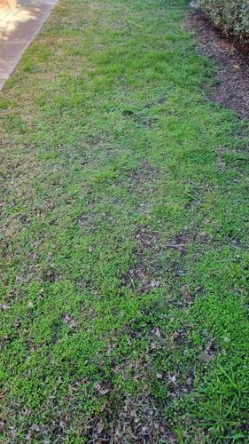 1000030893.jpg 1000030893.jpg