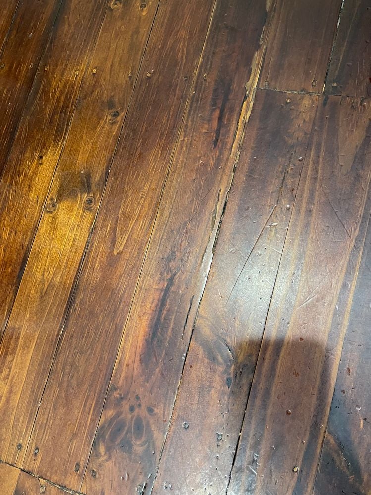 IMG_4143.JPG IMG_4143.JPG