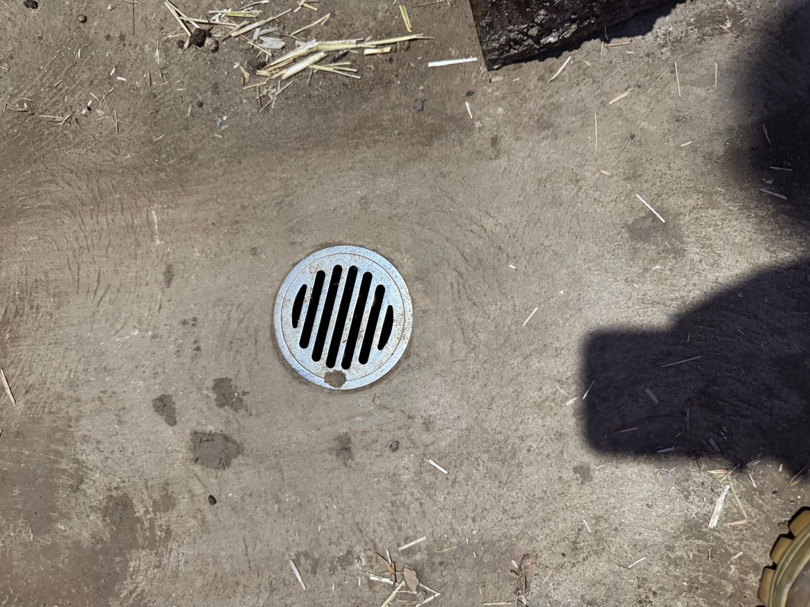 IMG_2445.jpeg IMG_2445.jpeg