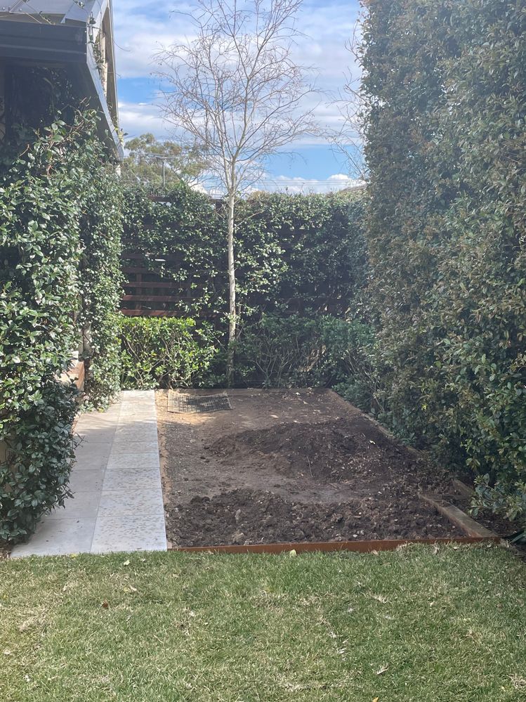 IMG_1120.jpeg IMG_1120.jpeg