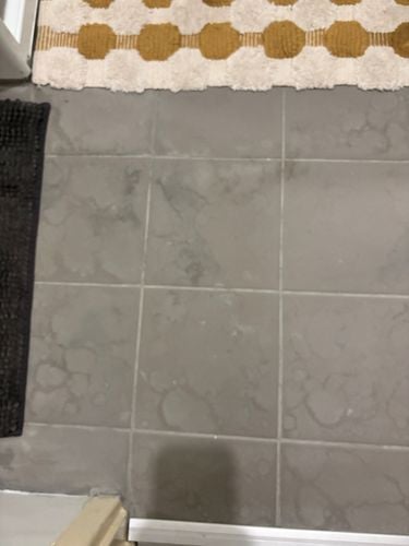 IMG_3776.jpeg IMG_3776.jpeg