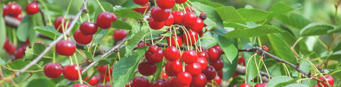 Hero Image Test Blog - 2023-01-04T100151.767.png Hero Image Test Blog - 2023-01-04T100151.767.png