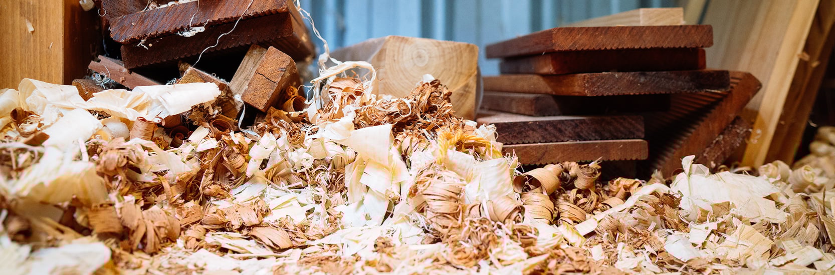 Shavings.jpg Shavings.jpg