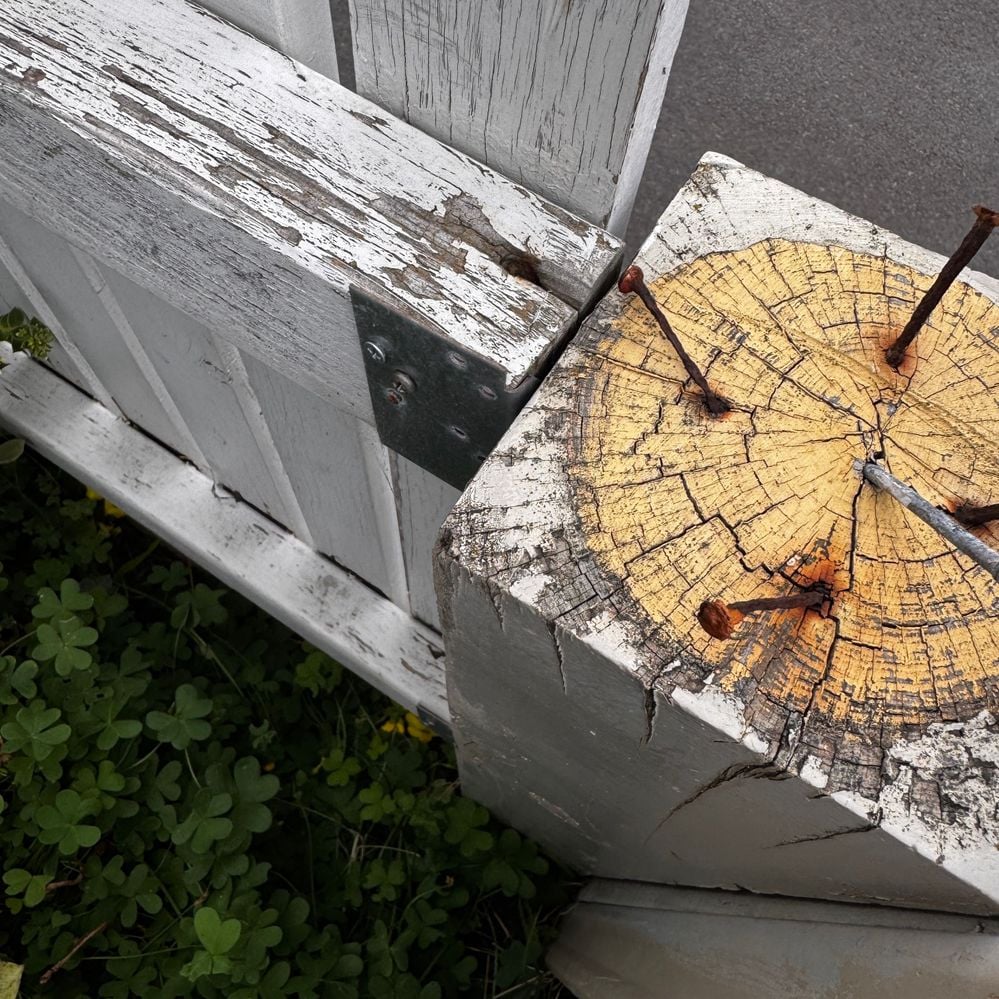 IMG_1459.jpeg IMG_1459.jpeg