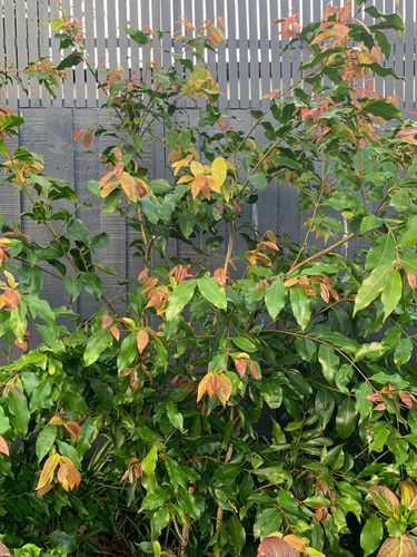 IMG_2096.jpeg IMG_2096.jpeg