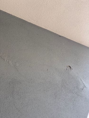 IMG_3311.jpeg IMG_3311.jpeg