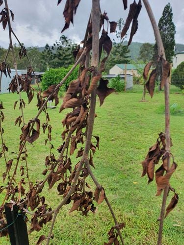 20220107_092711.jpg 20220107_092711.jpg