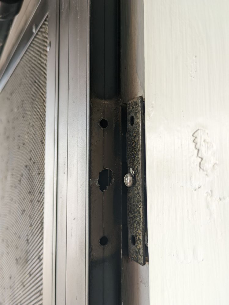 PXL_20240921_124557274.MP.jpg PXL_20240921_124557274.MP.jpg