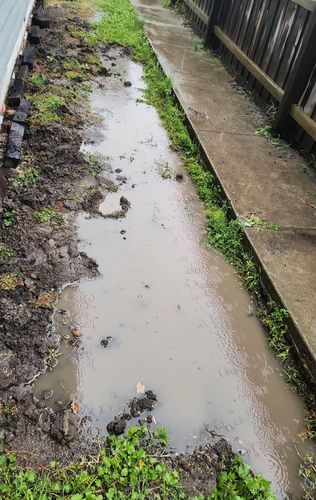 1000092462.jpg 1000092462.jpg