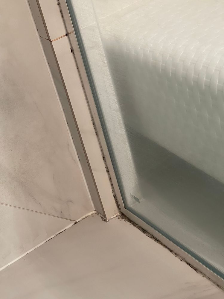 IMG_4917.jpeg IMG_4917.jpeg