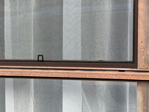 IMG_3037.jpeg IMG_3037.jpeg