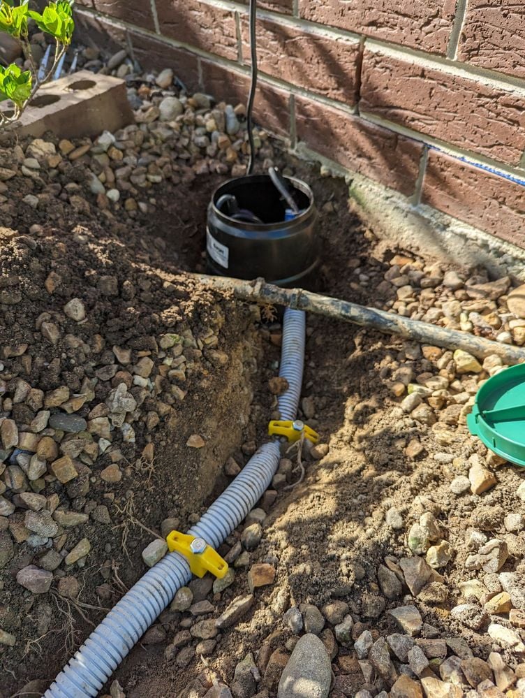 PXL_20230617_023442978.jpg PXL_20230617_023442978.jpg