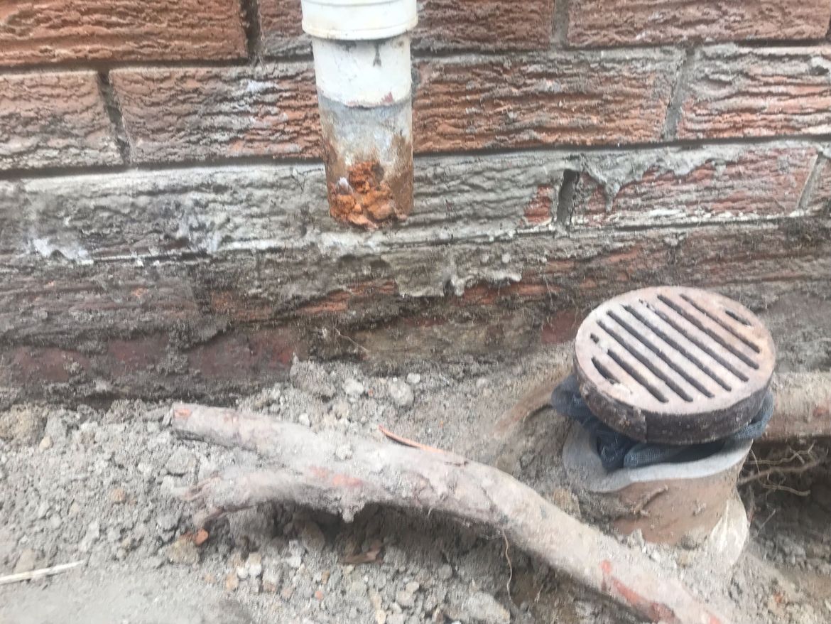 image3.jpeg image3.jpeg