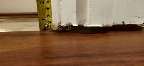 IMG_20210816_184652.jpg IMG_20210816_184652.jpg