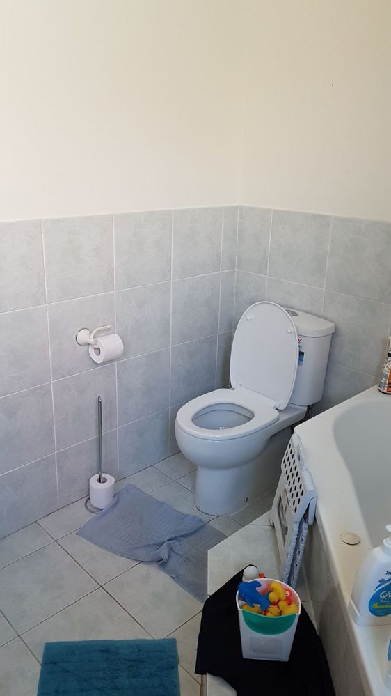 20200409_084716_resized.jpg 20200409_084716_resized.jpg