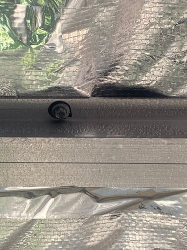 IMG_3445.jpeg IMG_3445.jpeg