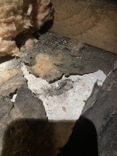 IMG_4586.jpeg IMG_4586.jpeg