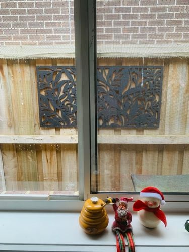 IMG_8921.jpeg IMG_8921.jpeg