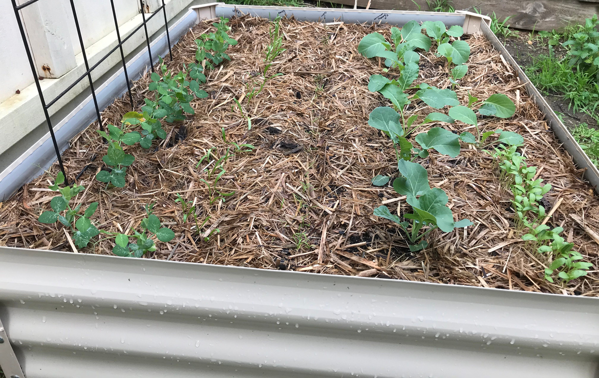 Andy_J.png Andy_J.png