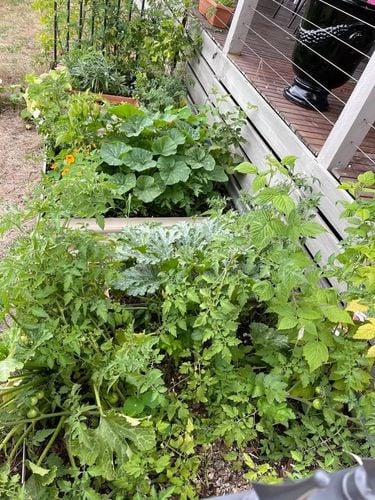 99F189D6-5E77-42E7-A141-F735AA0A6F30.jpeg 99F189D6-5E77-42E7-A141-F735AA0A6F30.jpeg