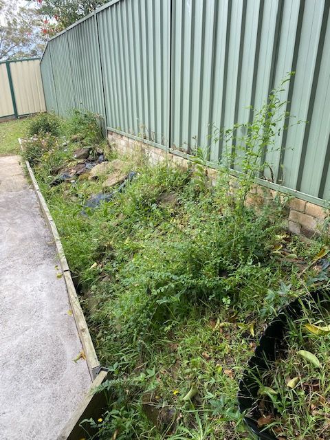 IMG_1716.jpg IMG_1716.jpg