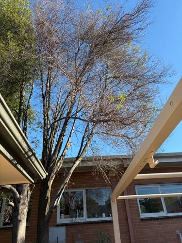 IMG_0808.jpeg IMG_0808.jpeg