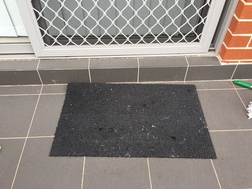 D4981973-B237-440E-80EB-CE127B0A0AFB-1000.jpg D4981973-B237-440E-80EB-CE127B0A0AFB-1000.jpg