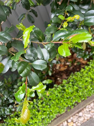 IMG_5521.jpeg IMG_5521.jpeg