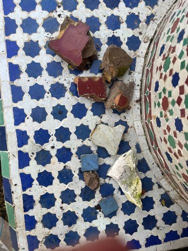 IMG_7608.jpeg IMG_7608.jpeg