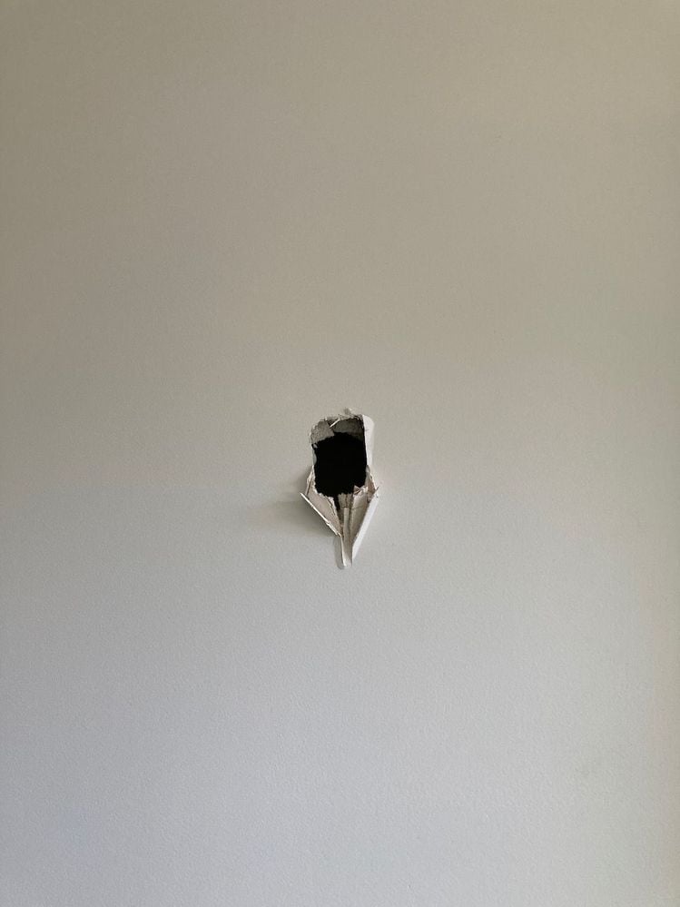 IMG_0206.jpeg IMG_0206.jpeg